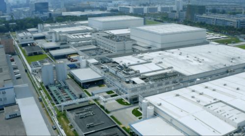 方便食品市场转入细分领域,头部企业如何破局