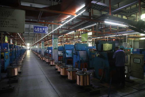 内蒙古包头稀土高新区吹响重点项目复工复产集结号，铜业引领产业复苏