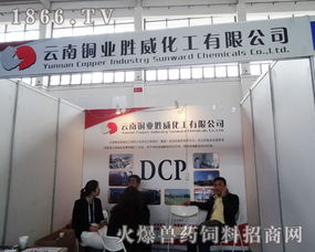 跨界融合 云南铜业胜威化工亮相中国饲料工业展览会，展现铜业化工应用新潜力